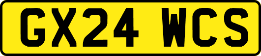 GX24WCS