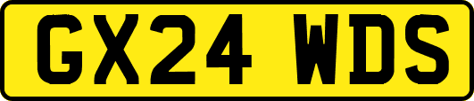 GX24WDS