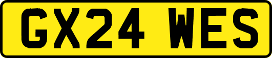 GX24WES
