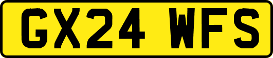 GX24WFS
