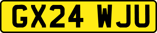 GX24WJU