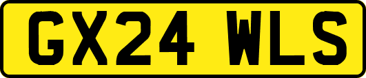 GX24WLS