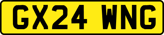 GX24WNG