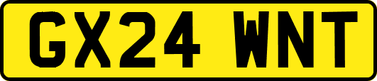 GX24WNT