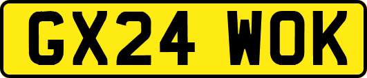 GX24WOK