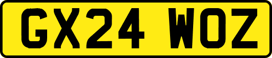 GX24WOZ