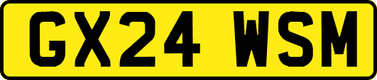 GX24WSM
