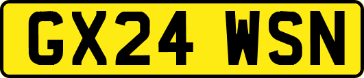 GX24WSN