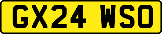 GX24WSO