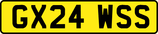 GX24WSS