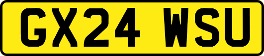 GX24WSU