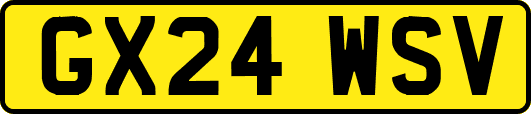 GX24WSV