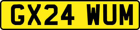 GX24WUM