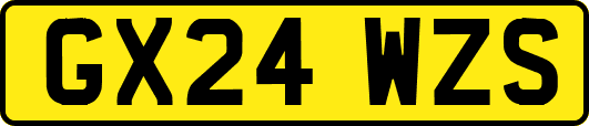 GX24WZS