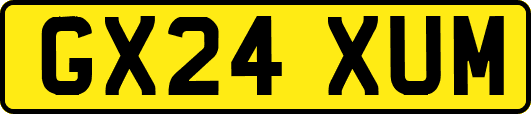 GX24XUM
