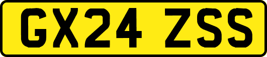 GX24ZSS