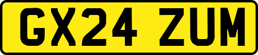 GX24ZUM