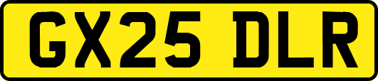 GX25DLR
