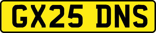 GX25DNS