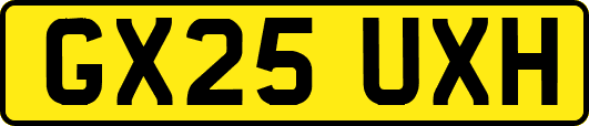 GX25UXH
