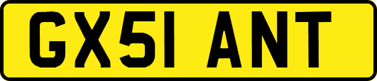 GX51ANT