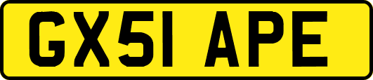 GX51APE