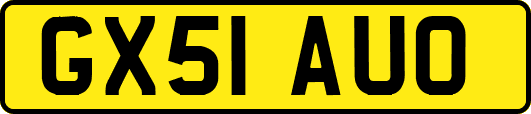 GX51AUO