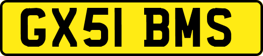 GX51BMS