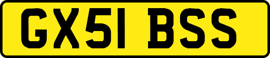 GX51BSS