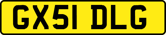 GX51DLG