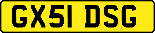 GX51DSG