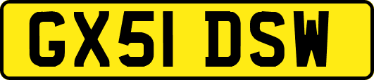 GX51DSW