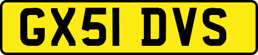 GX51DVS