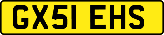GX51EHS