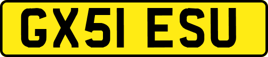 GX51ESU