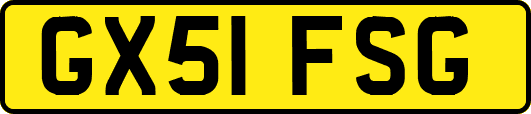 GX51FSG