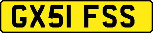 GX51FSS