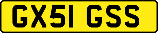 GX51GSS