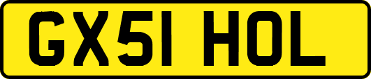 GX51HOL