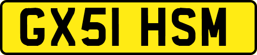 GX51HSM