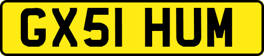 GX51HUM