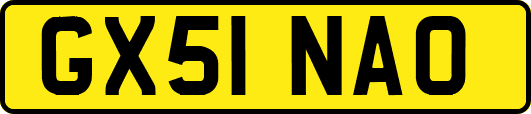 GX51NAO