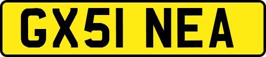 GX51NEA