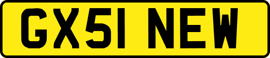 GX51NEW