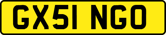 GX51NGO