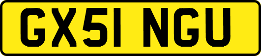 GX51NGU