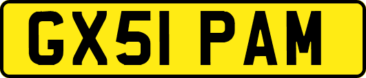 GX51PAM