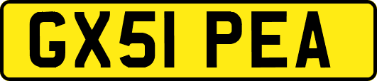 GX51PEA