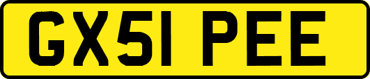 GX51PEE