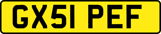 GX51PEF